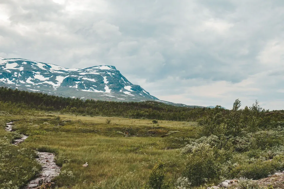 Abisko är ett starkt semestertips för de äventyrliga familjerna.