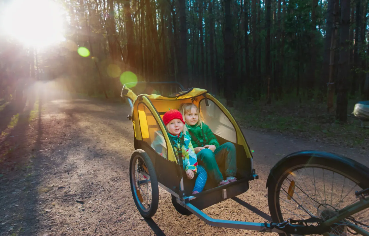 Bästa cykelvagn 2026 - Bäst i test & köpguide
