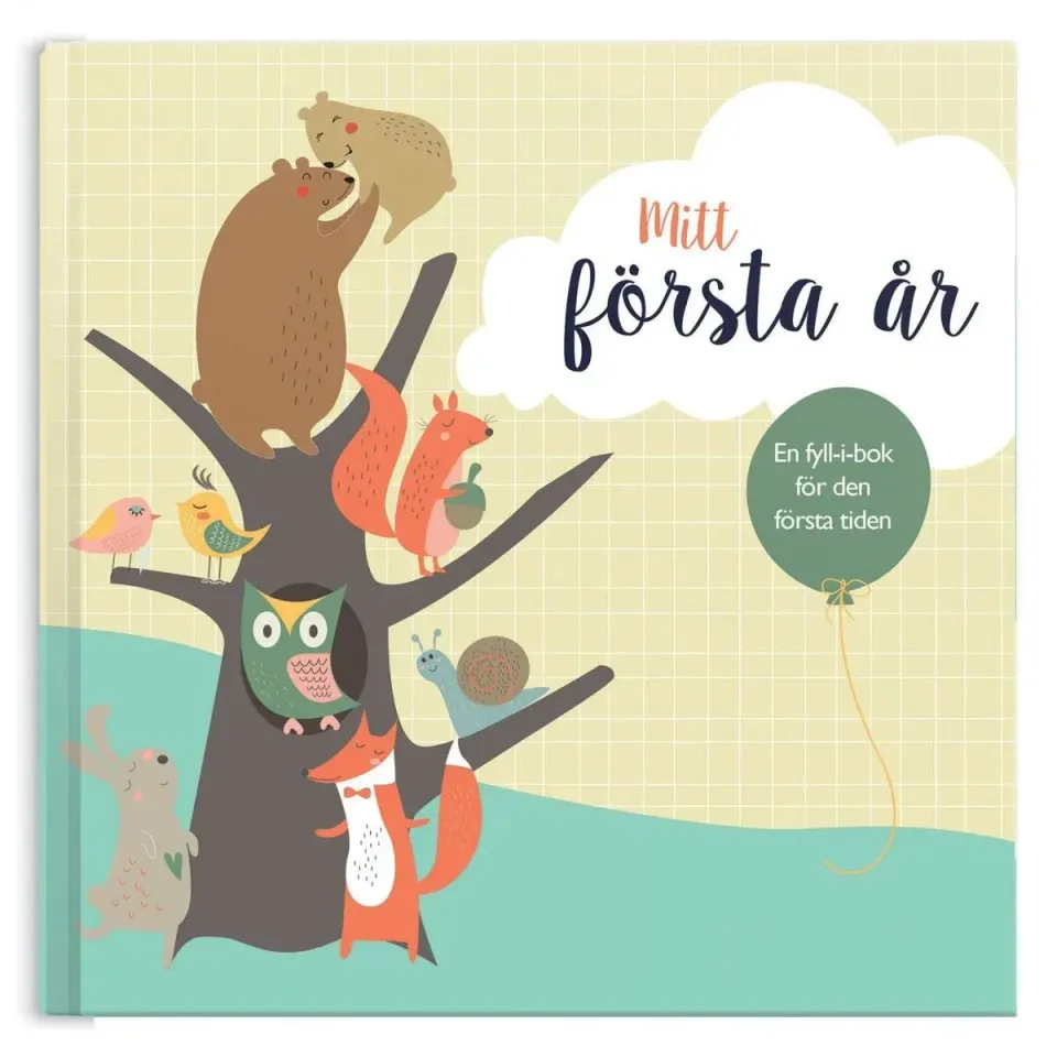 Har man en tajt budget och är ute efter en billig doppresent är vårt förslag Mitt första år Fyll-i-Bok. Med denna kan föräldrarna skapa en fin dopgåva.
